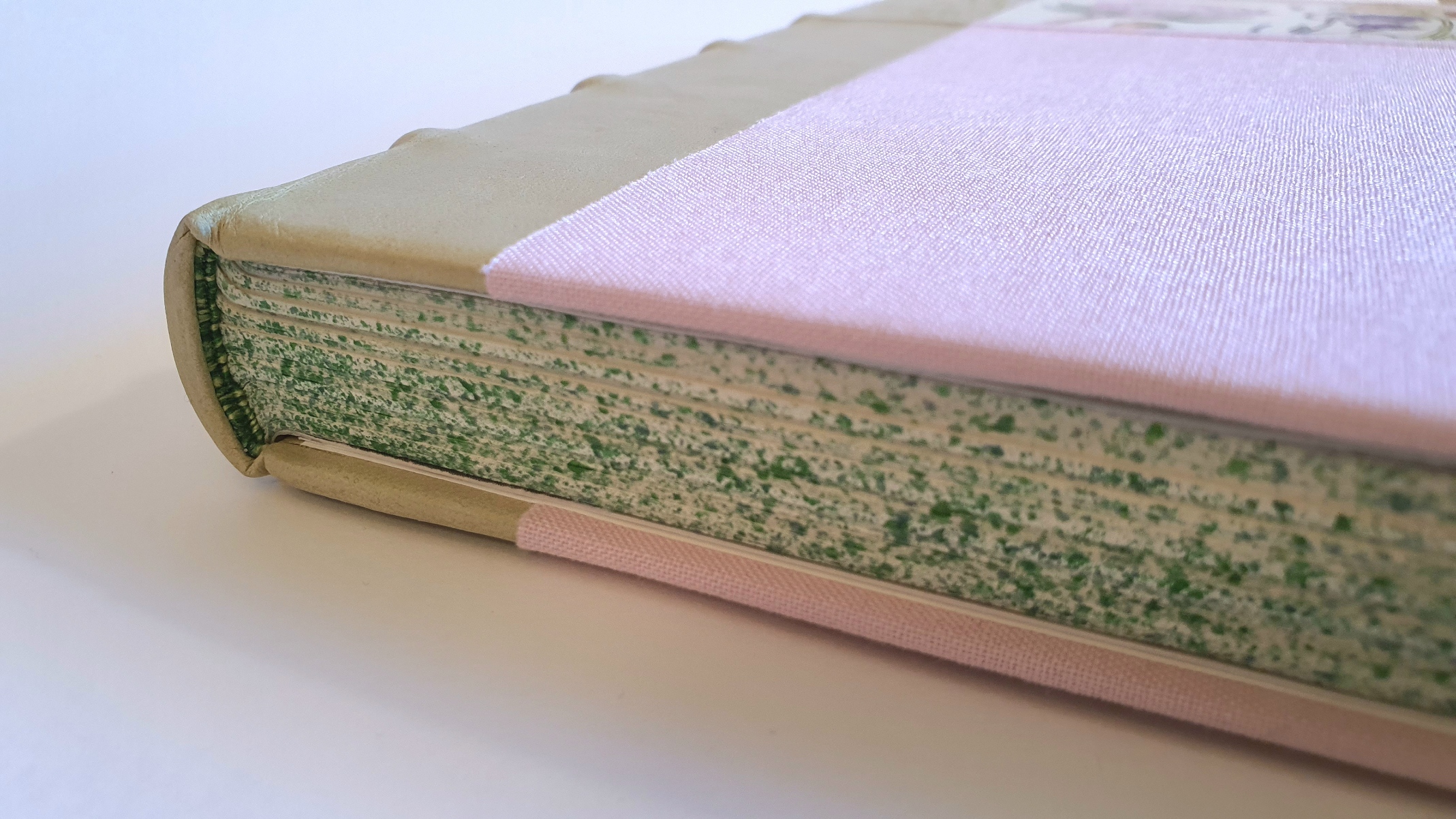 Wild Flowers of the Cape of Good Hope by E.G. Rice & R. H. Compton