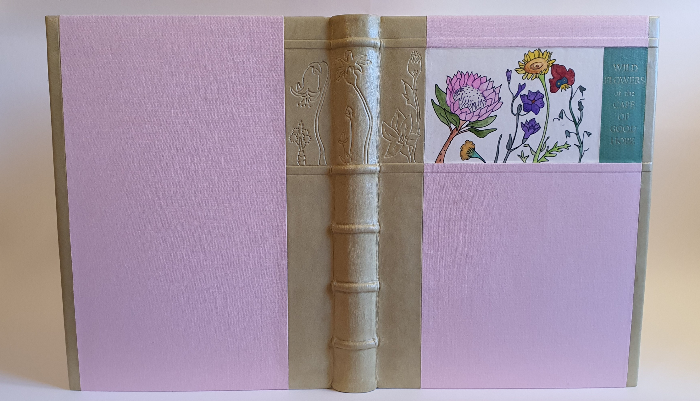 Wild Flowers of the Cape of Good Hope by E.G. Rice & R. H. Compton