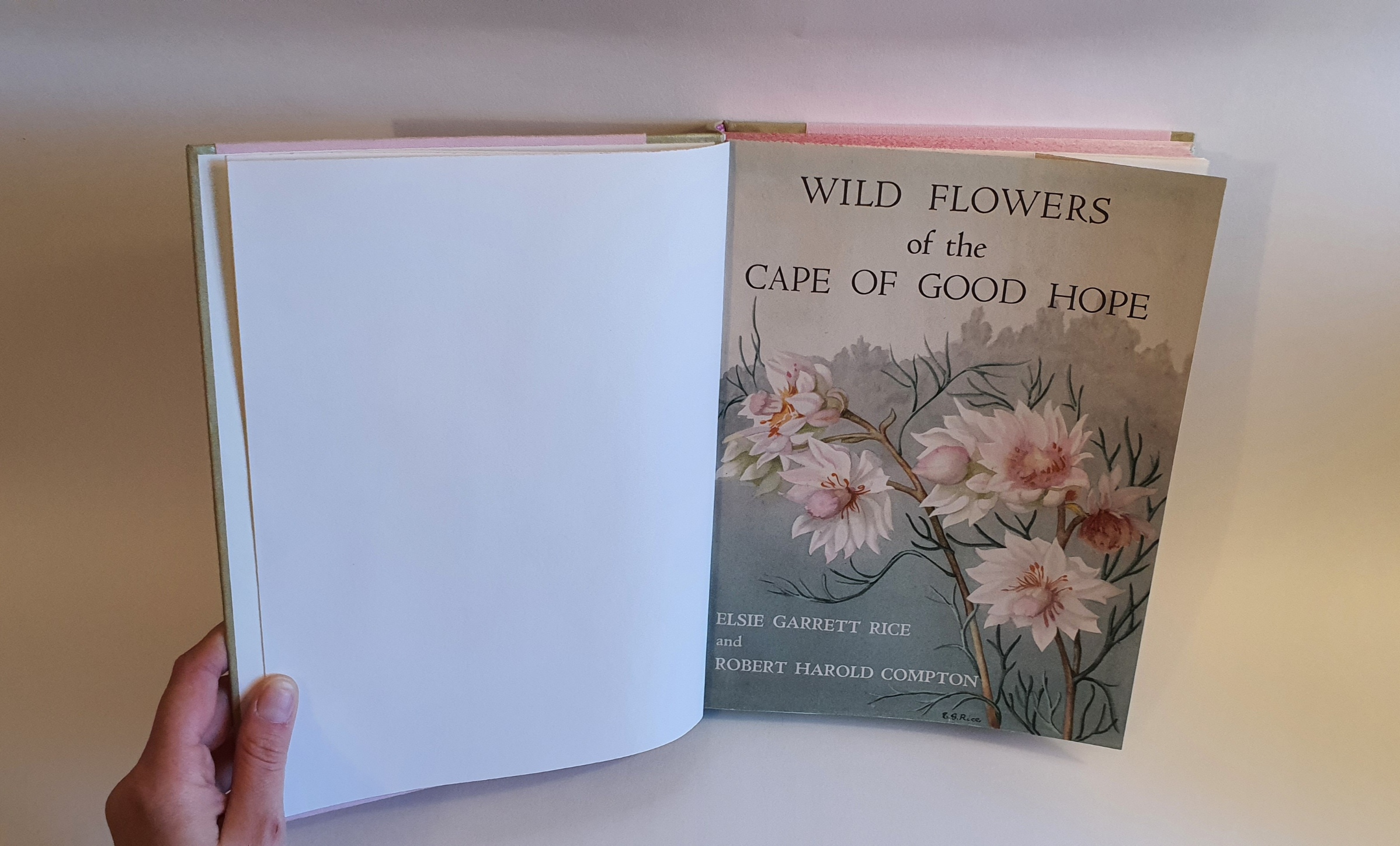 Wild Flowers of the Cape of Good Hope by E.G. Rice & R. H. Compton